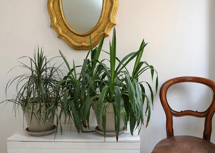 3v * Бардоліно